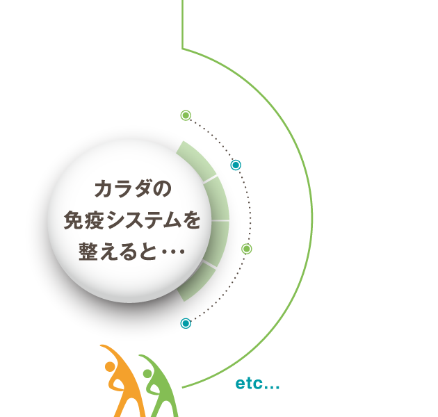 体の免疫システムを整えると...