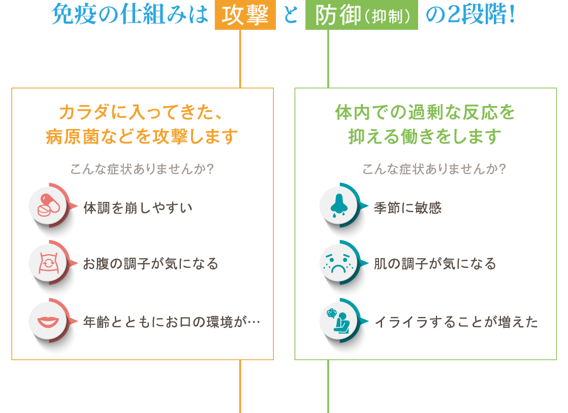 免疫の仕組みは攻撃と防御(抑制)の2段階!
