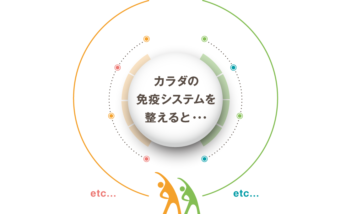 カラダの免疫システムを整えると