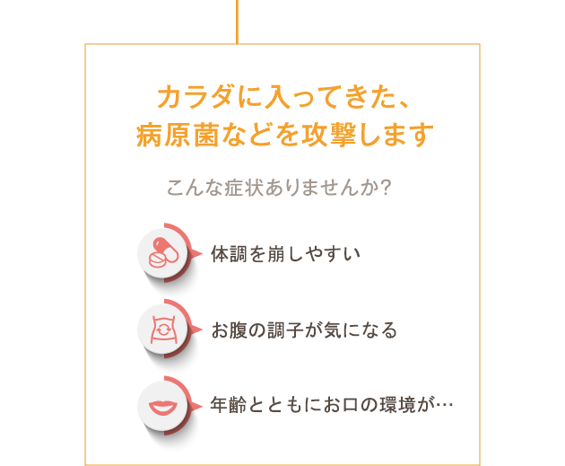 体に入ってきた、病原菌などを攻撃します