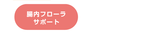 腸内フローラの改善